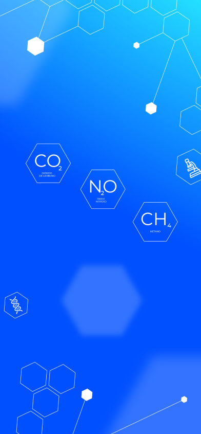 Principais gases
