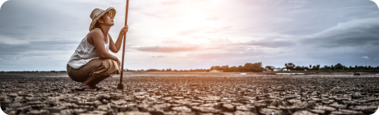 Impactos na agropecuária