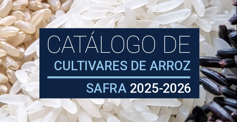 Estratégias de mitigação