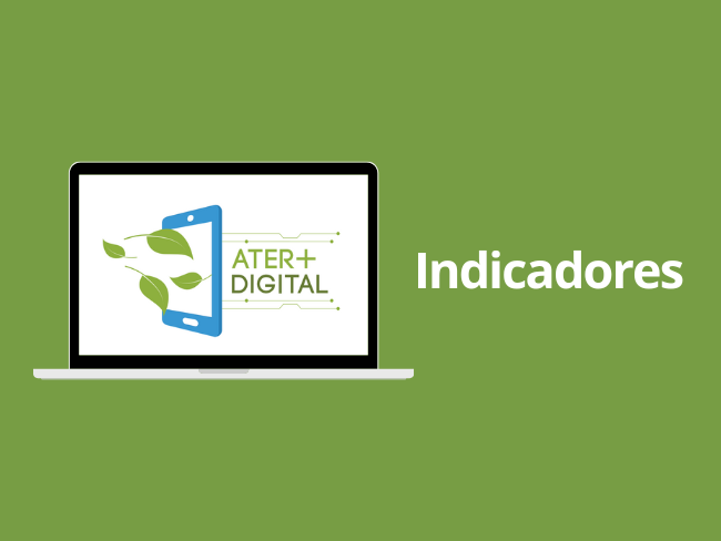 Card - Indicadores