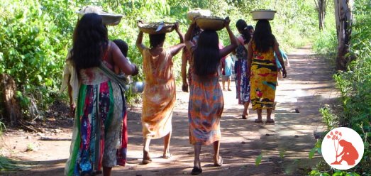 Sistemas Agrícolas Tradicionais