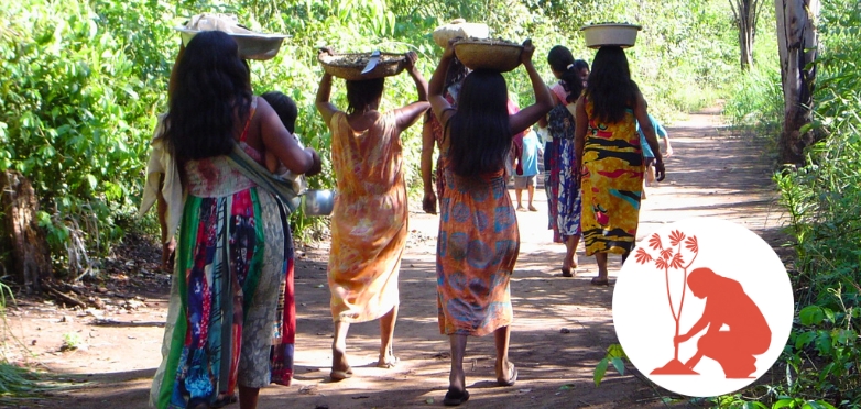 Sistemas Agrícolas Tradicionais