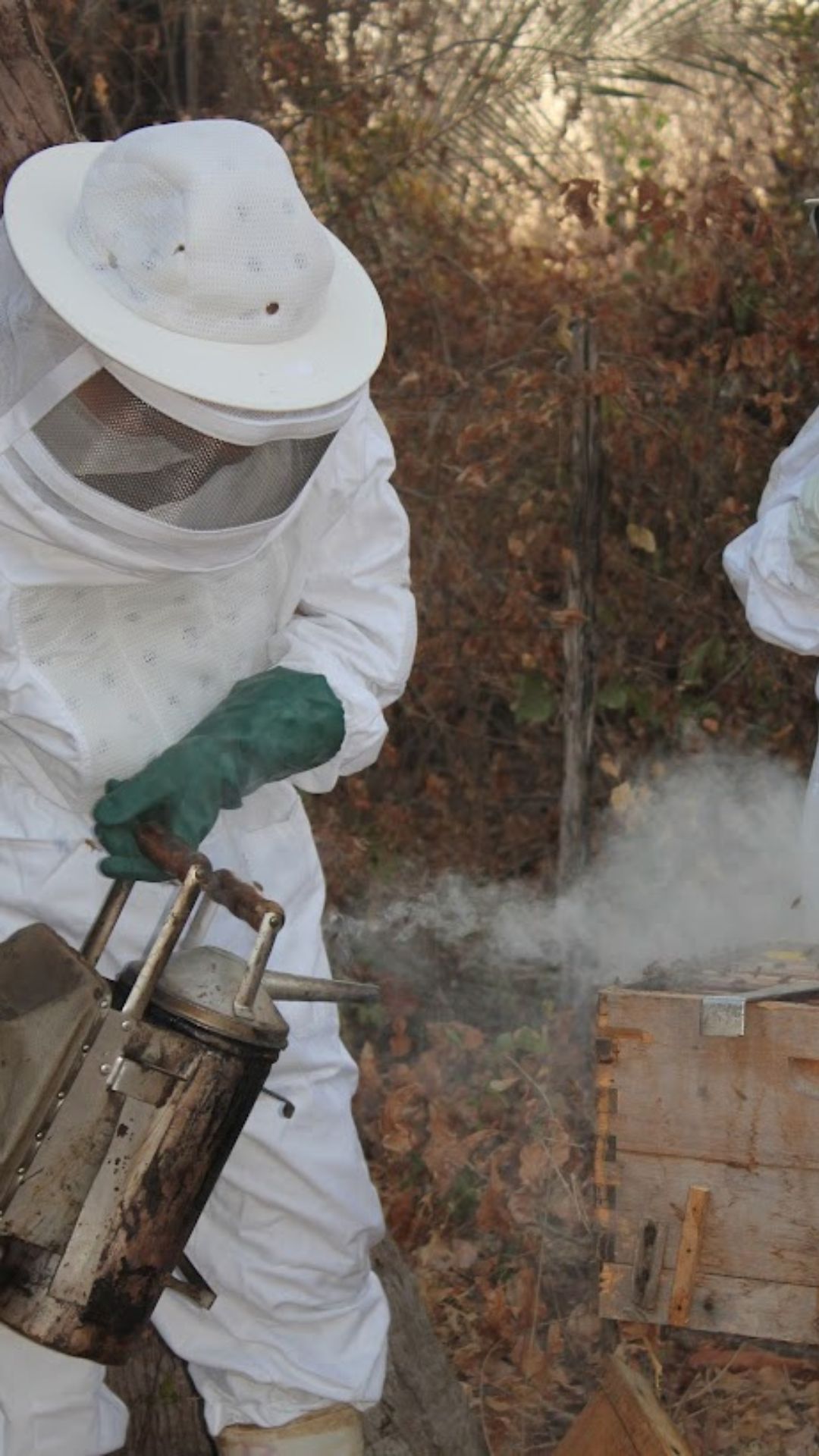 Como deve ser a fumaça utilizada na colheita do mel?