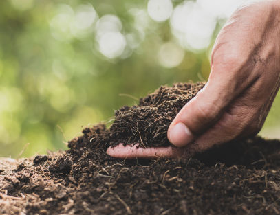 mãos pegando terra para plantar árvores