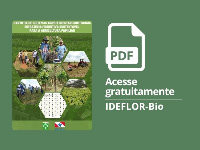Cartilha de sistemas agroflorestais comerciais - Estratégia produtiva sustentável para a agricultura familiar 