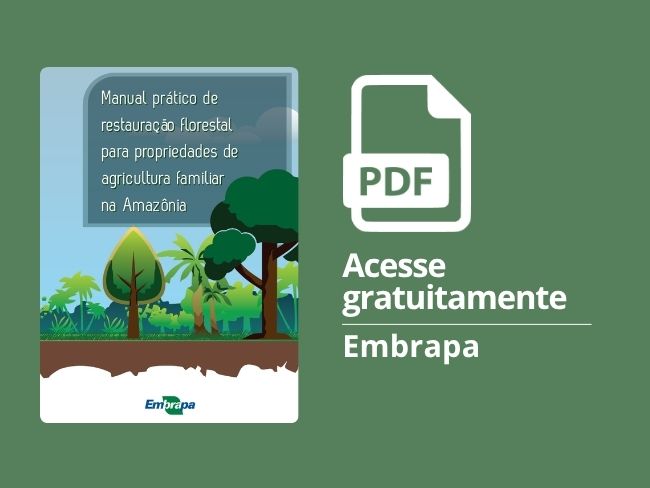 Manual prático de restauração florestal para propriedades de agricultura familiar na Amazônia
