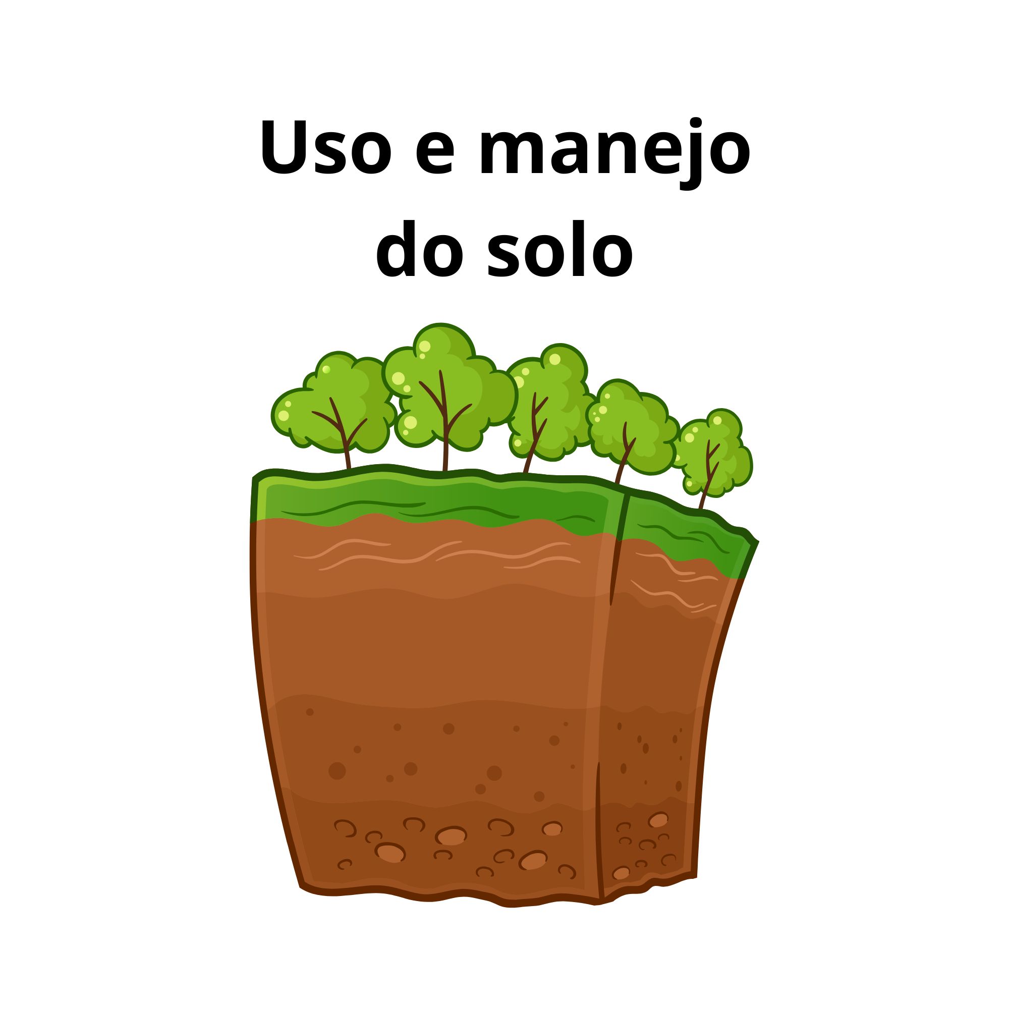 ㅤㅤㅤㅤㅤㅤㅤㅤㅤㅤ