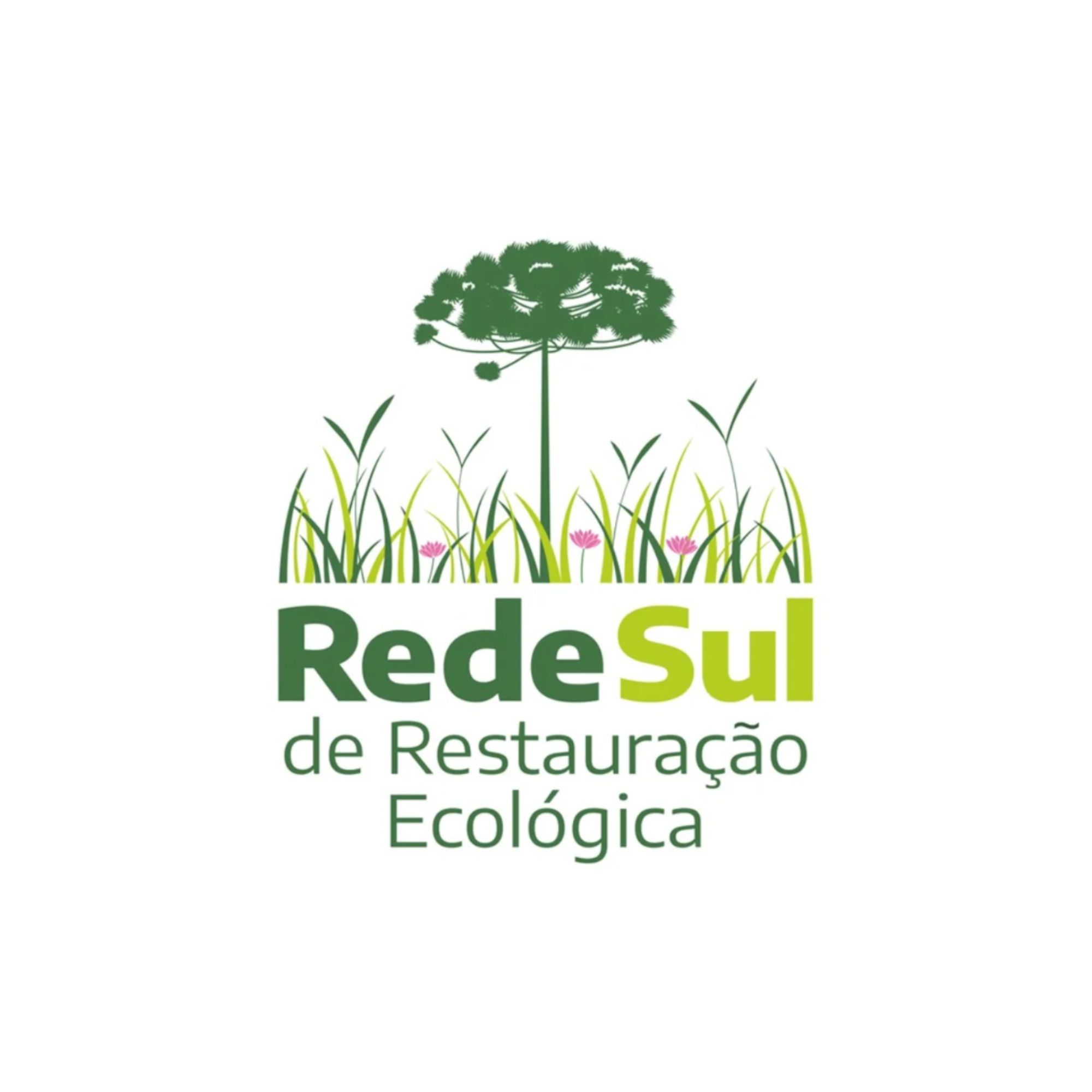 Rede Sul de Restauração Ecológica
