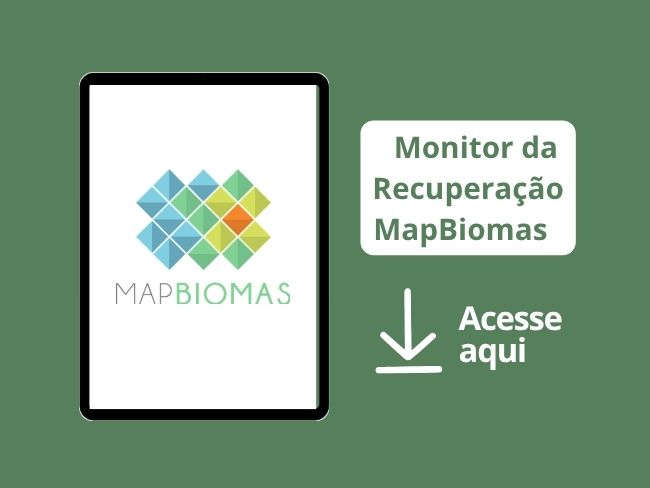 Monitor da Recuperação MapBiomas