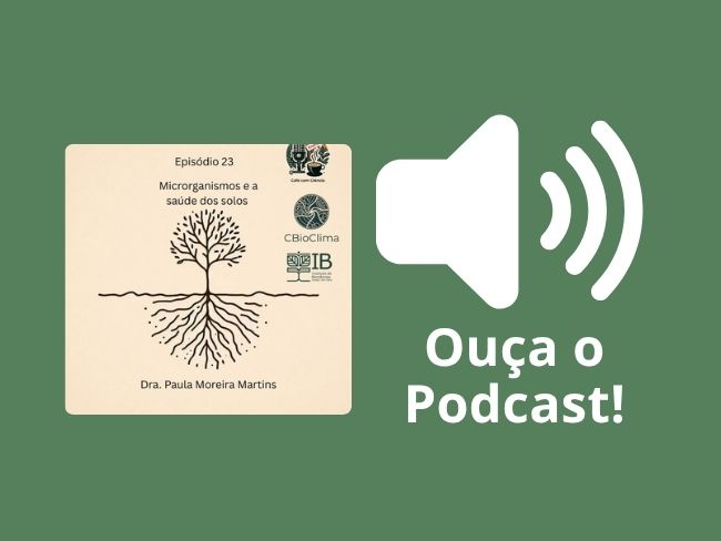 Microrganismos e a saúde do solo