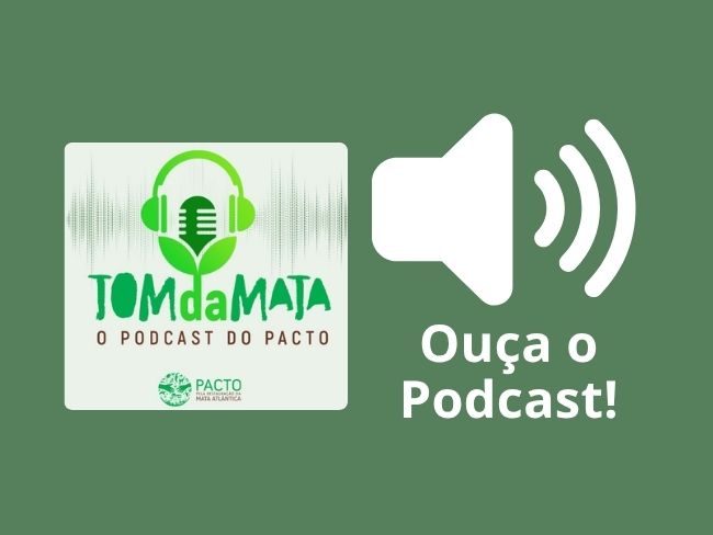 Da agrofloresta para o seu prato: a restauração aliada à produção de alimentos