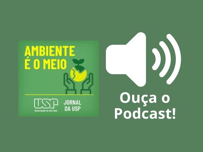 Plantar árvores é algo positivo, mas não suficiente para restaurar a Mata Atlântica