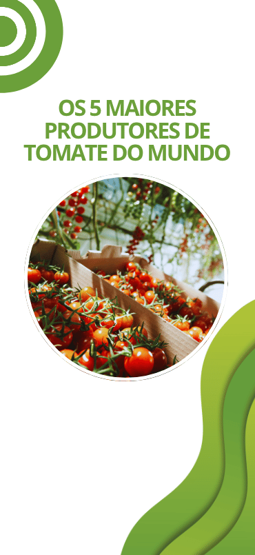 Os 5 maiores produtores de tomate do mundo