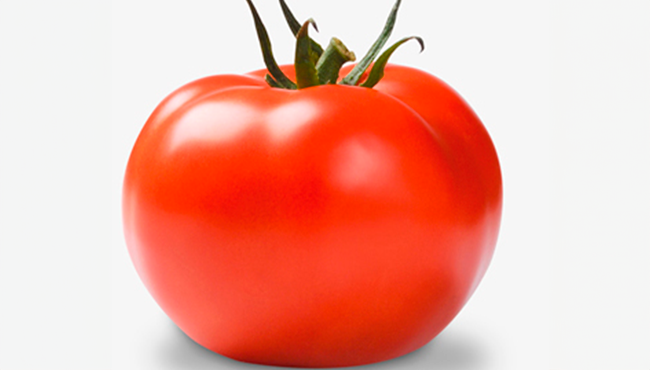 Salada