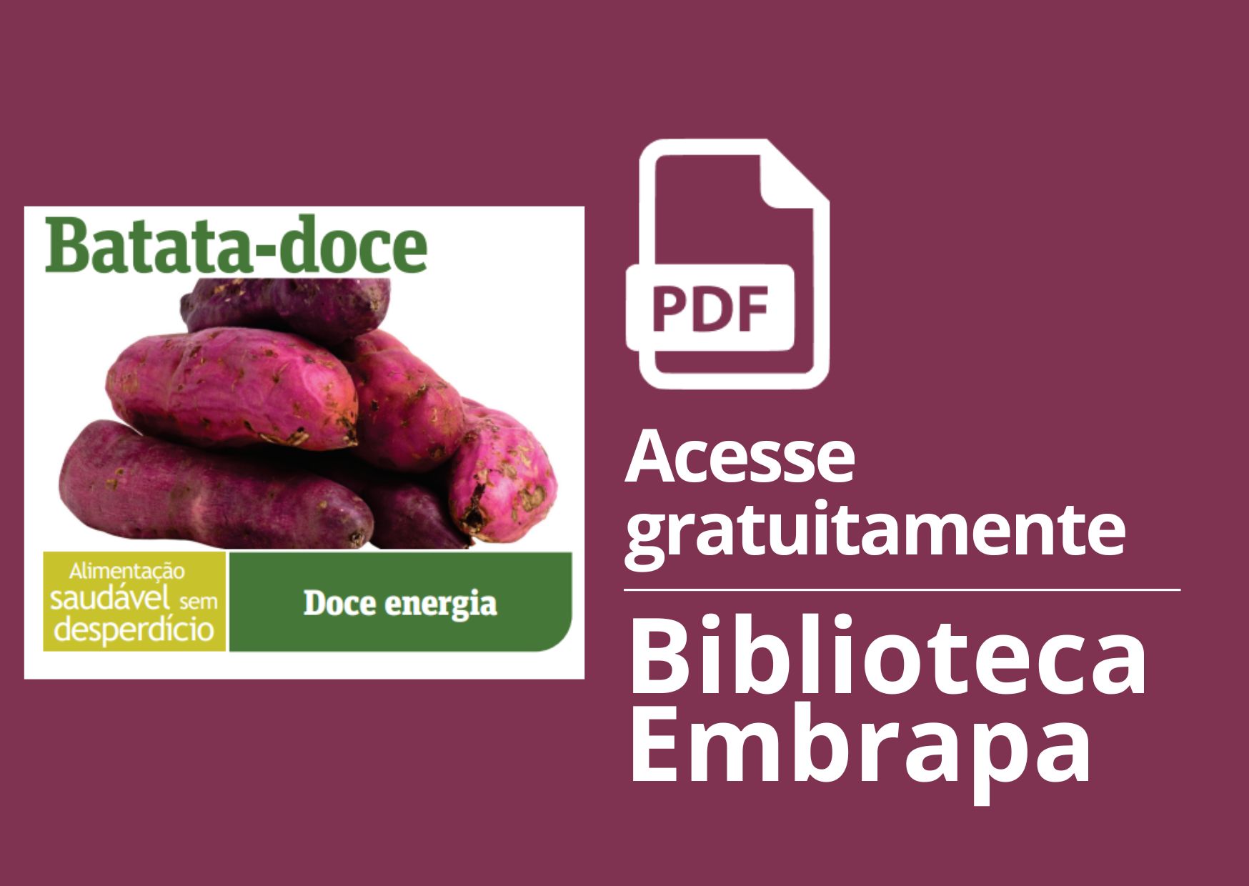 Hortaliça como comprar, conservar e consumir: batata-doce