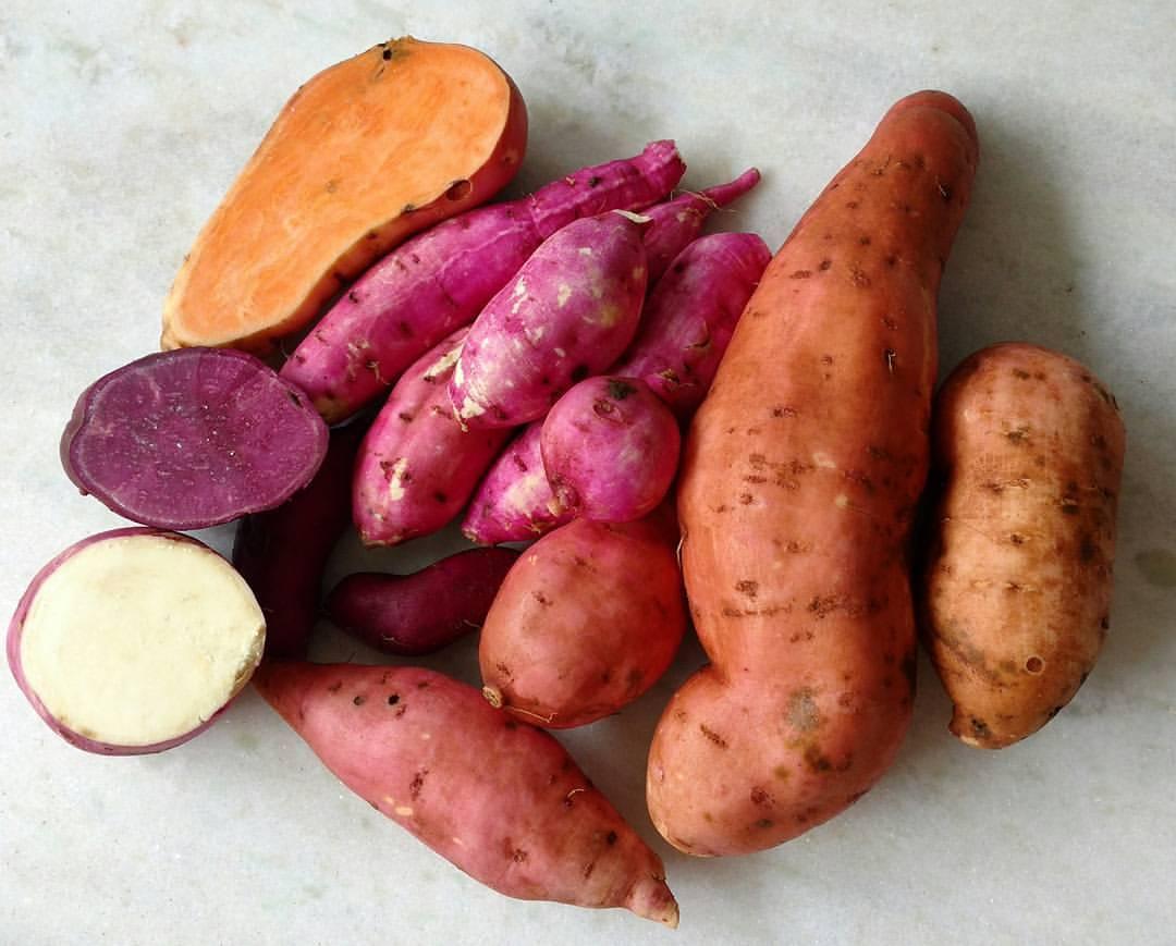 Os 5 Maiores Produtores de Batata-Doce do Mundo