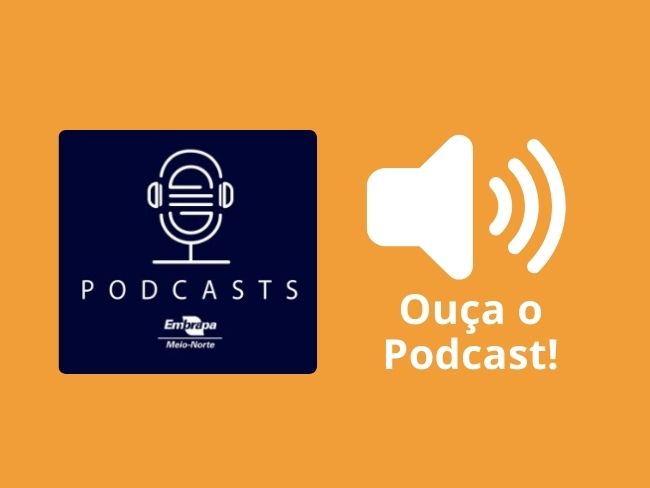 Podcast: Uso do fumigador