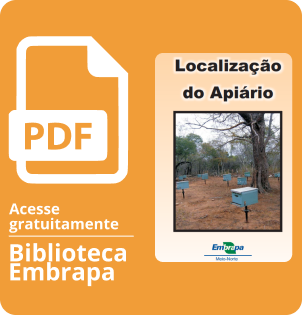 Localização do apiário