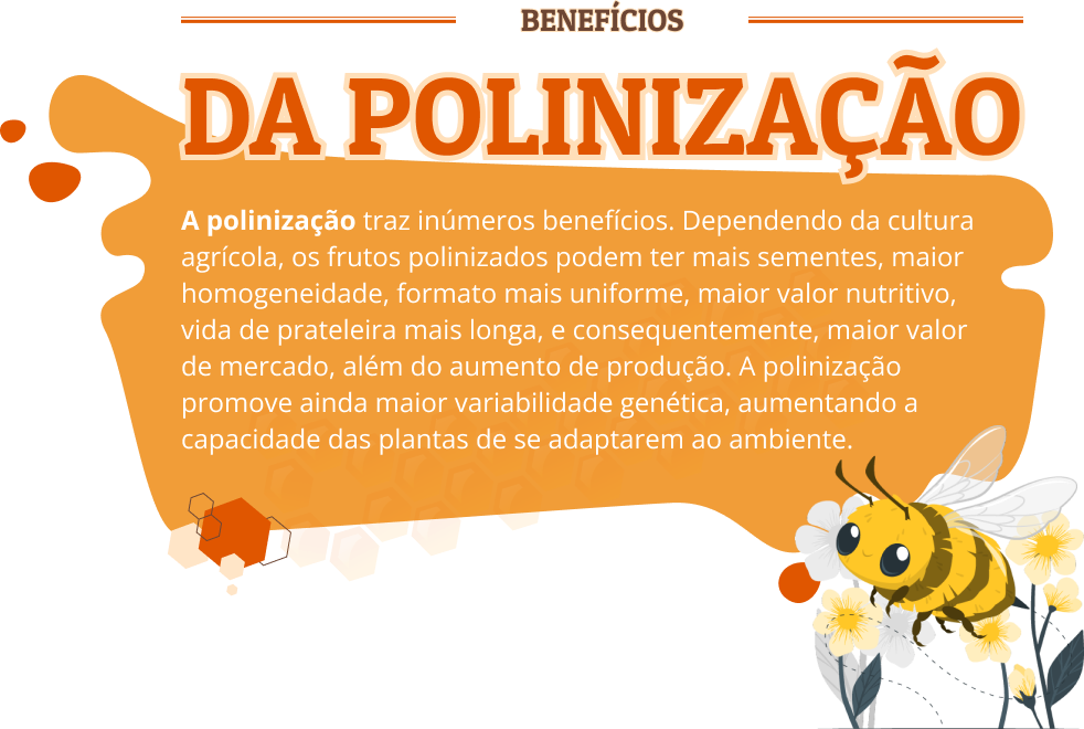 InfoPolinizacaoDesk.png