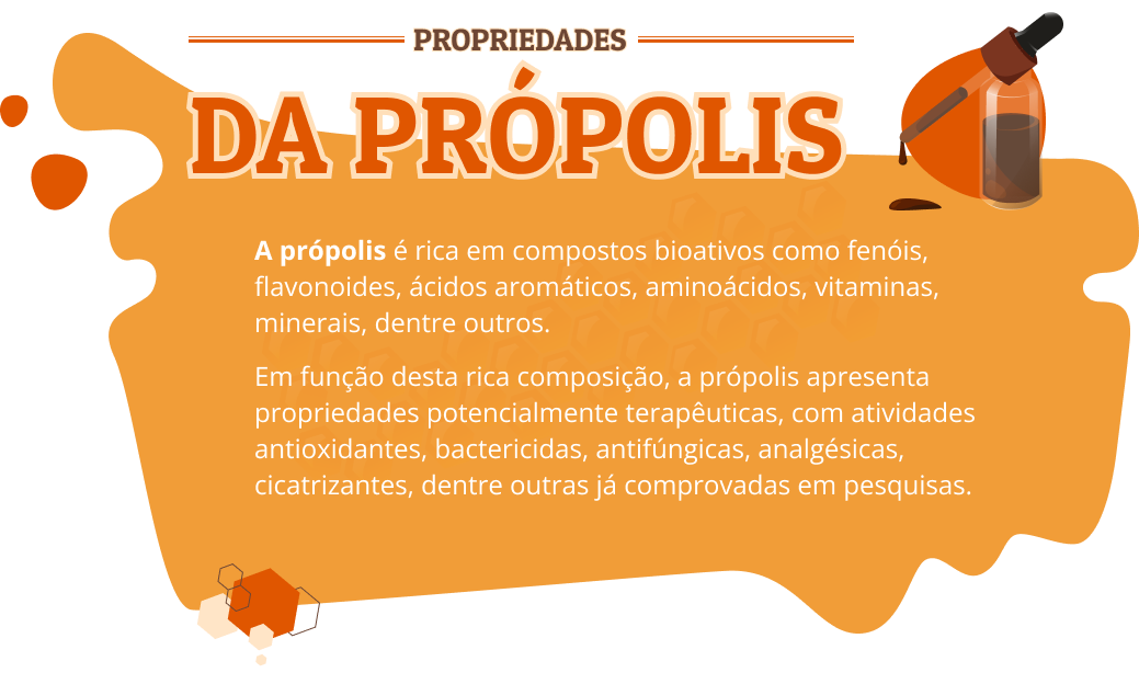 InfoPropolisDesk.png
