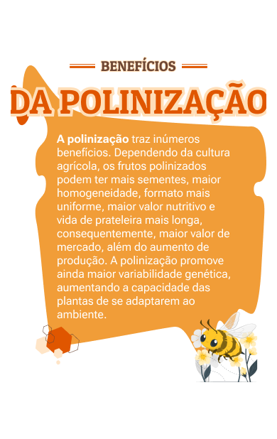 InfoPolizinacaoMob.png
