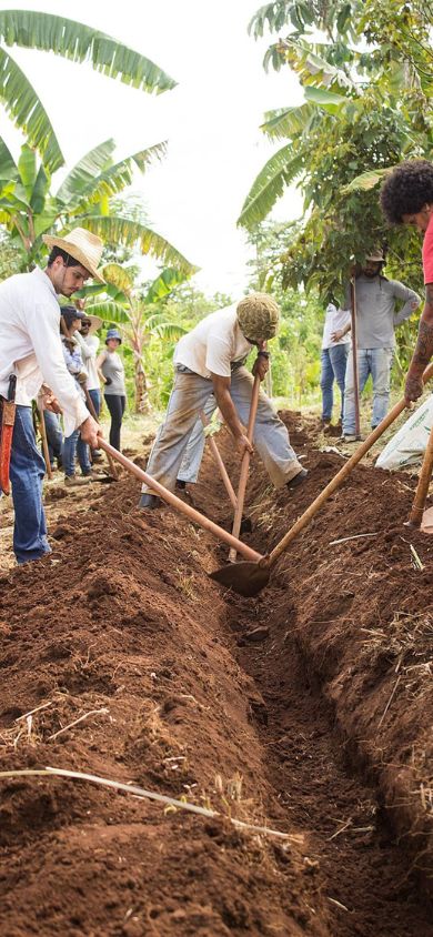 Construção participativa do conhecimento agroflorestal