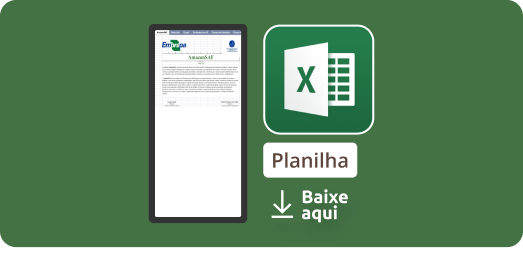 Planilha AmazonSAF
