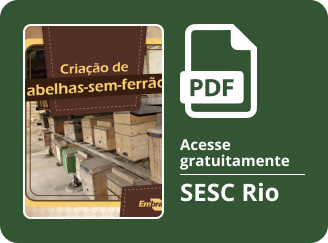 Capa publicação abelha sem ferrão