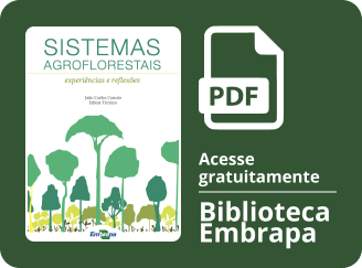 Capa publicação sistemas agroflorestais: experiência e reflexões