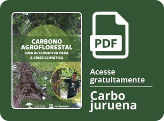 Capa publicação: Carbono agroflorestal: uma alternativa para a crise climática