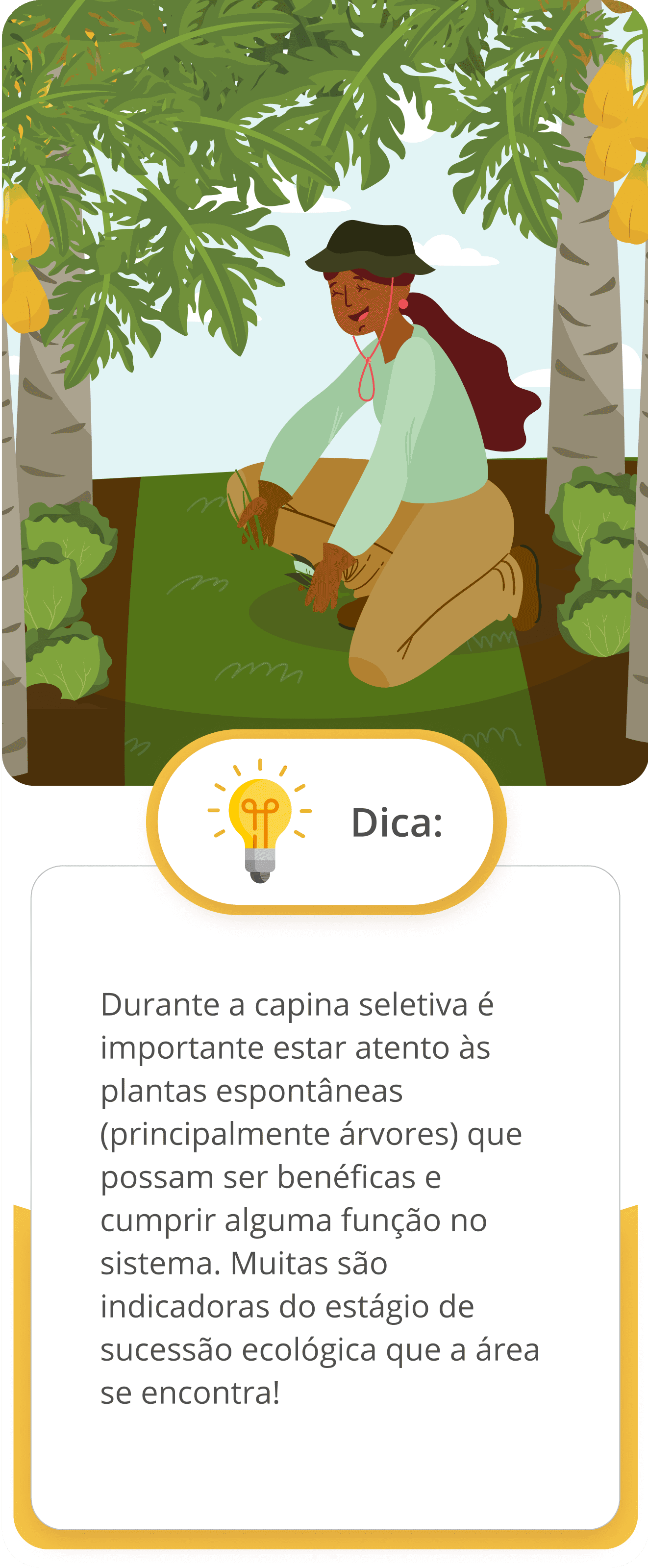 Infográfico _ 5.1 Principais manejos (1).png
