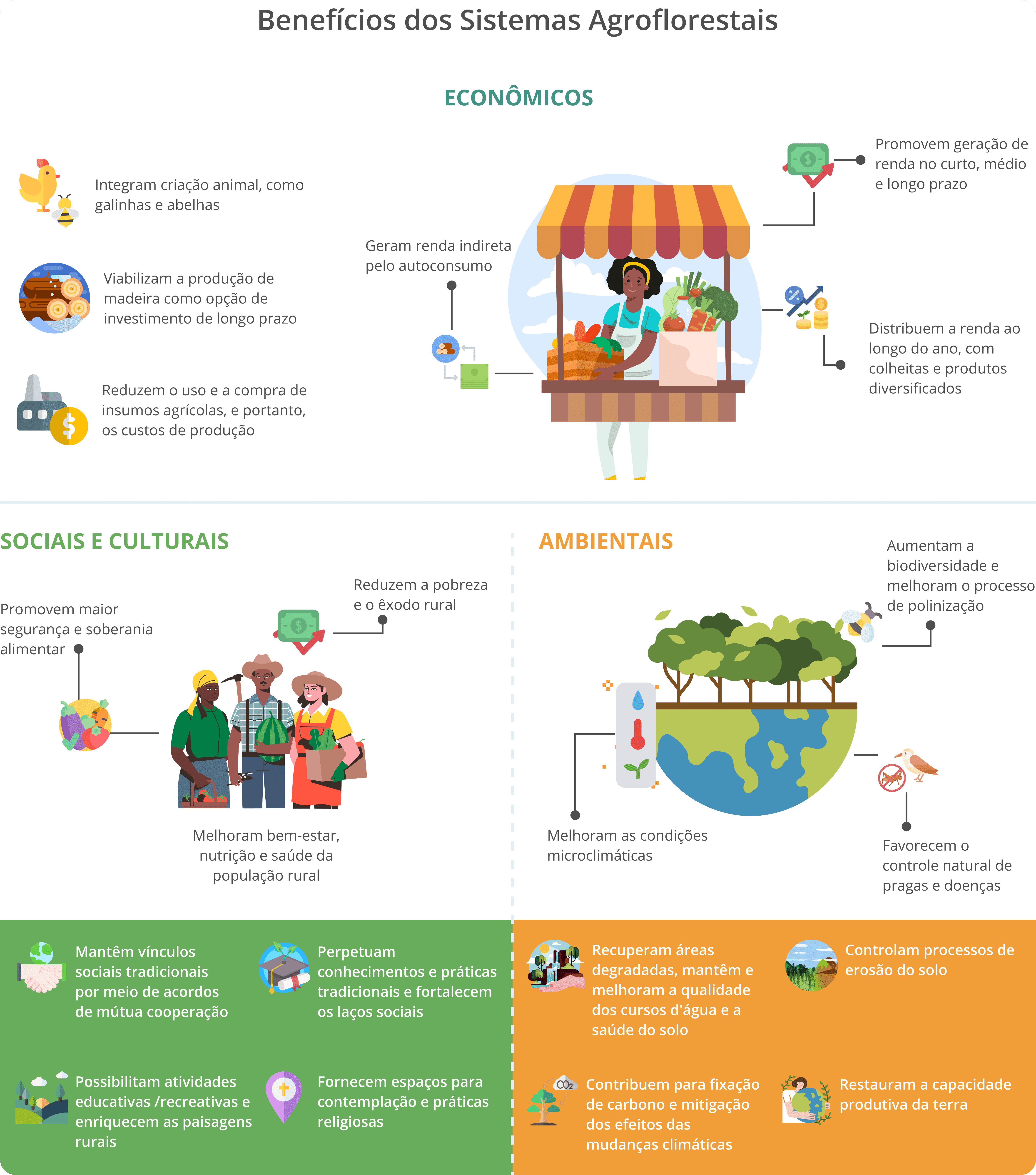 Infográficos Conhencendo SAFs - Descktop