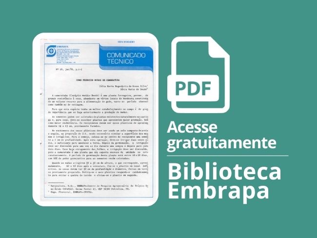 Como produzir mudas de camaratuba