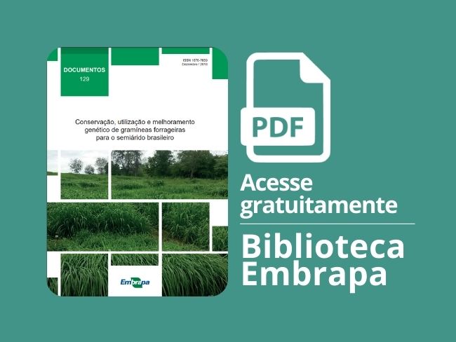 Gramíneas forrageiras para o semiárido brasileiro