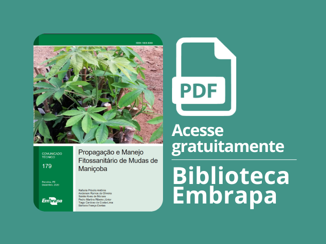 Propagação e Manejo Fitossanitário de Mudas de Maniçoba