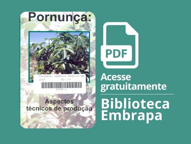 Pornunça: aspectos técnicos de produção