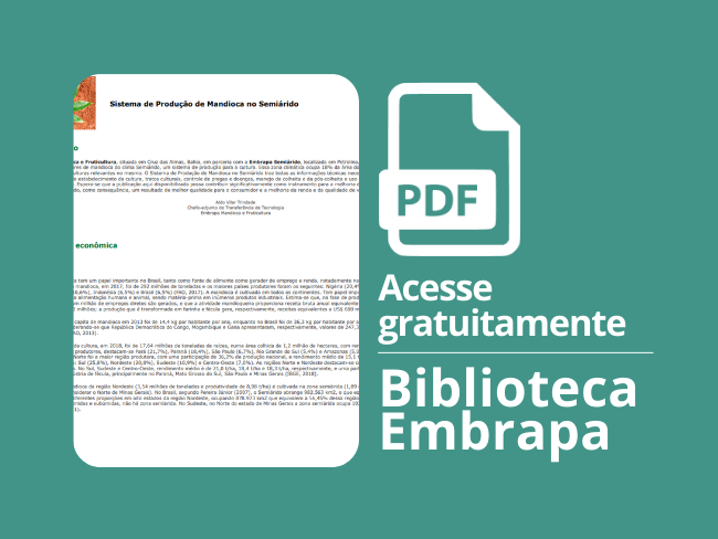 Sistema de produção de mandioca no Semi-árido