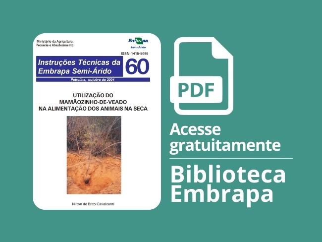 Utilização do mamãozinho-de-veado na alimentação dos animais na seca