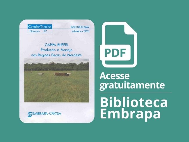Capim buffel: produção e manejo nas regiões secas do Nordeste