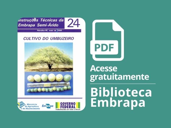 Cultivo do umbuzeiro