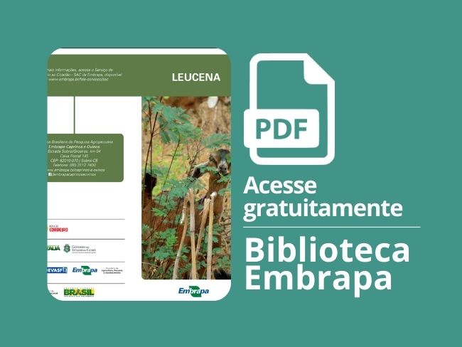 Leucena: O que é? Para que serve? Como plantar? Como manejar?