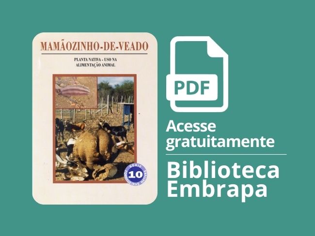 Mamãozinho-de-veado: uso na alimentação animal