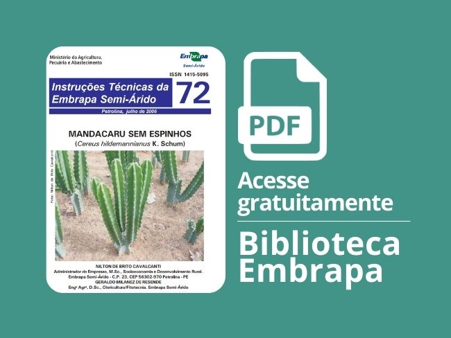 Mandacaru sem espinhos