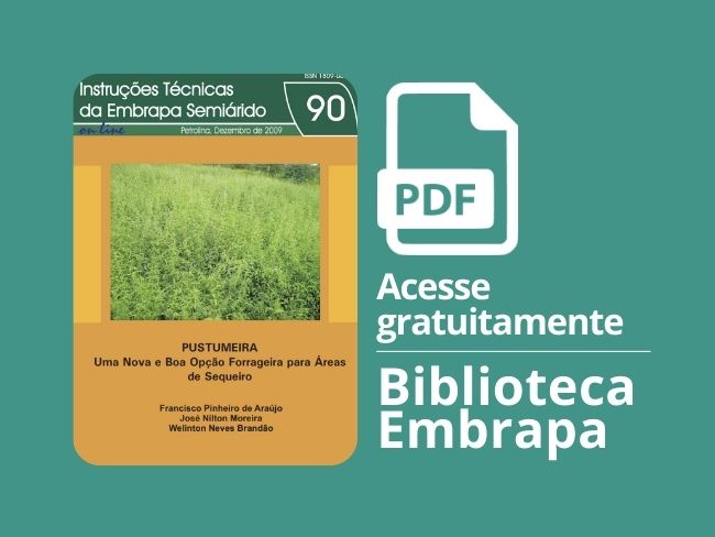 Pustumeira: uma Nova e Boa Opção Forrageira para Áreas de Sequeiro