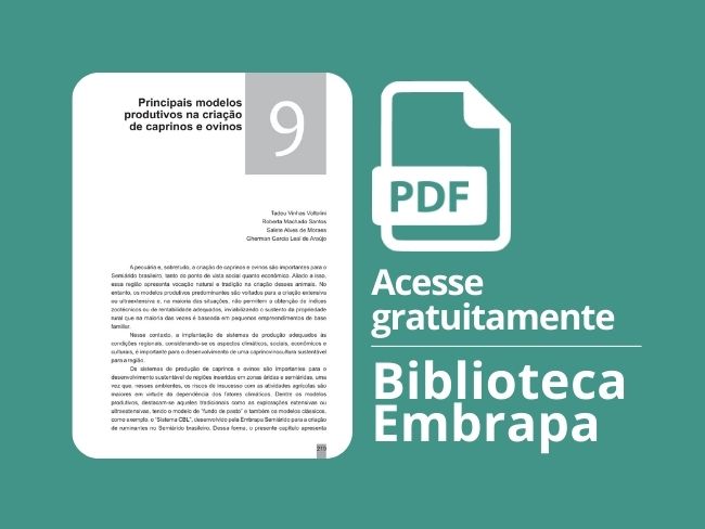 Principais modelos produtivos na criação de caprinos e ovinos
