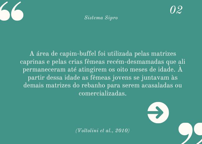 O que devo saber sobre o Sistema Sipro?