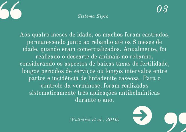 O que devo saber sobre o Sistema Sipro?