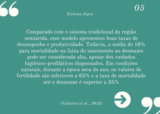 O que devo saber sobre o Sistema Sipro?