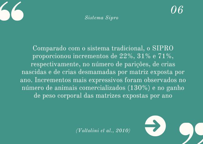O que devo saber sobre o Sistema Sipro