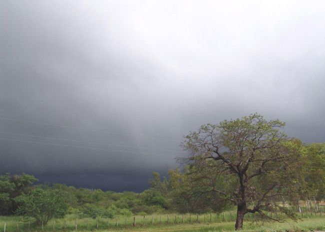 caatinga
